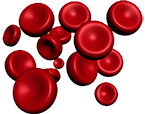 червени кръвни телца, символизиращи бързото възстановяване на организма при прием на хапчета за тестостерон Анавор.